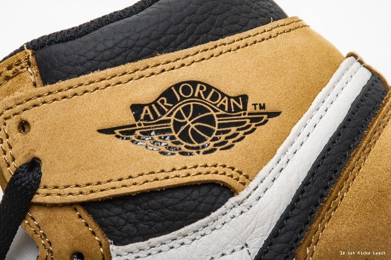 555088-700 of Rookie Year Jordan Air 1 the 0910